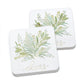 Greenery Cheers - Coasters